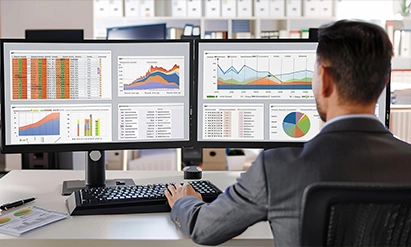 Data Formatting Services