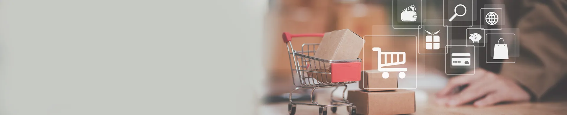 Tailored Services for the Ecommerce Industry
