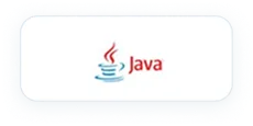 java 